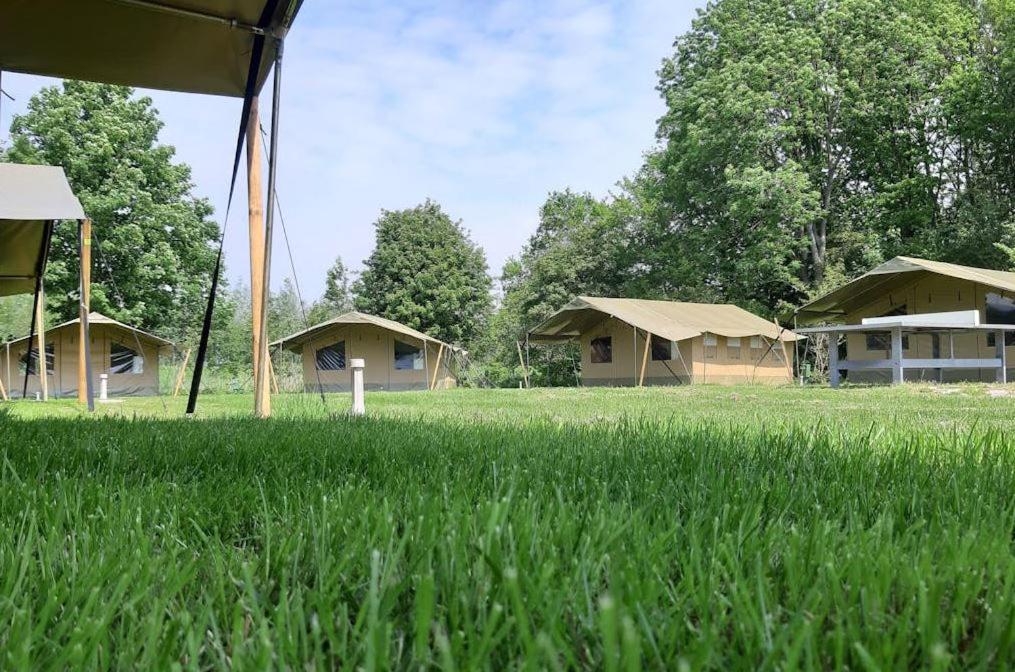 Easyatent Safari Tent Lanterna Cervar-Porat Room photo